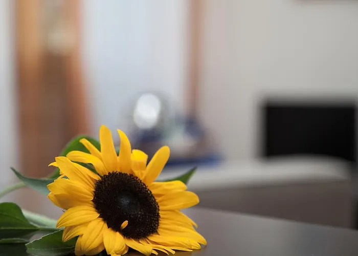 Santa Croce Bed & Breakfast Rom