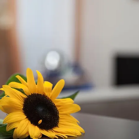 Santa Croce Bed & Breakfast Rome